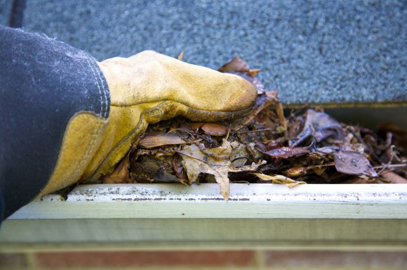 Clogged Gutter Clearing in Morris County, NJ