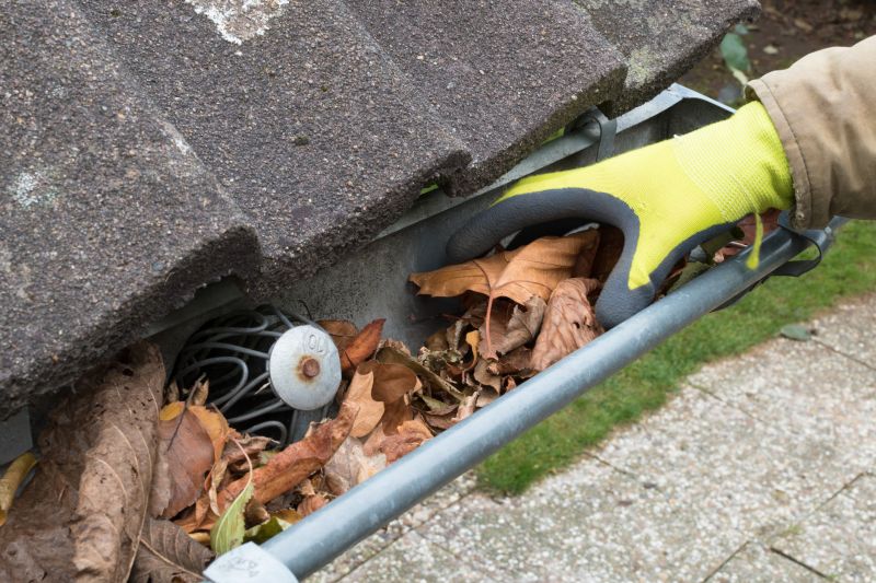 Commercial Gutter Cleaning in Roseville, CA