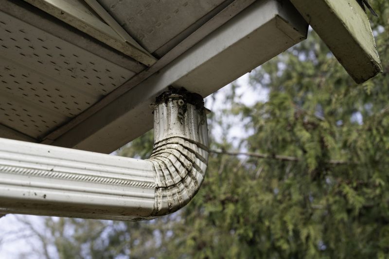 Downspout Cleaning in Westchester County, NY