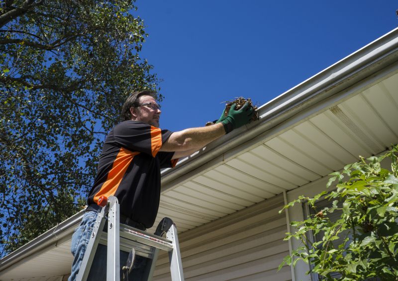 Eavestrough Clearing in Morris County, NJ