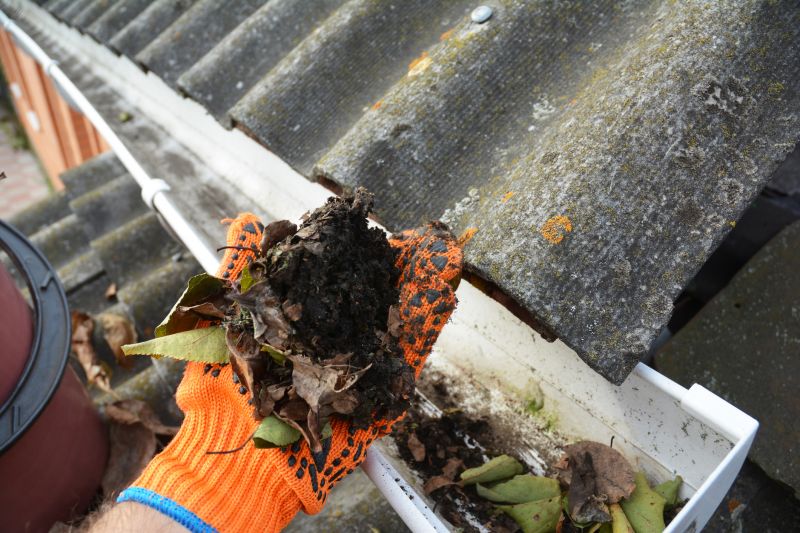 Clogged Gutter Inside