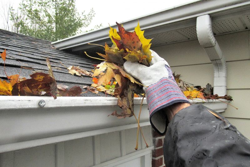 Gutter Leaf Clearing in Richmond, VA