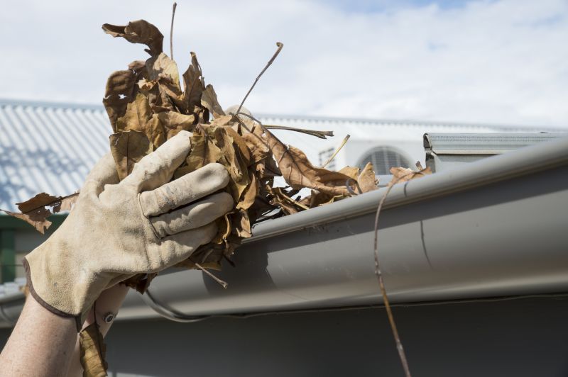 Gutter Leaf Clearing in Monmouth County, NJ
