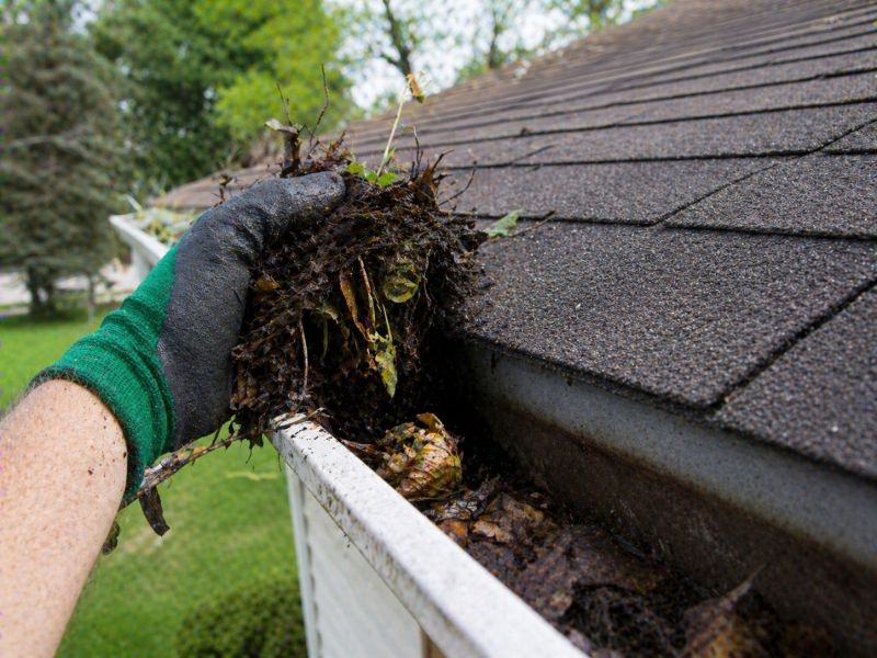 Gutter Leaves Removal in Bergen County, NJ
