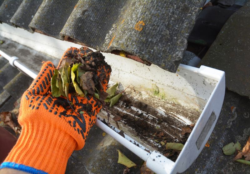Gutter Maintenance in Baltimore, MD
