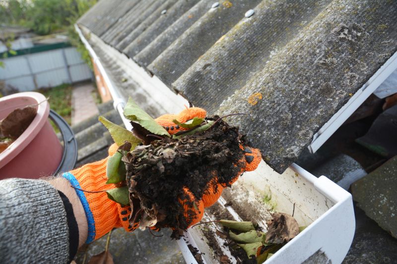 Gutter Pine Needle Removal in Longmont, CO