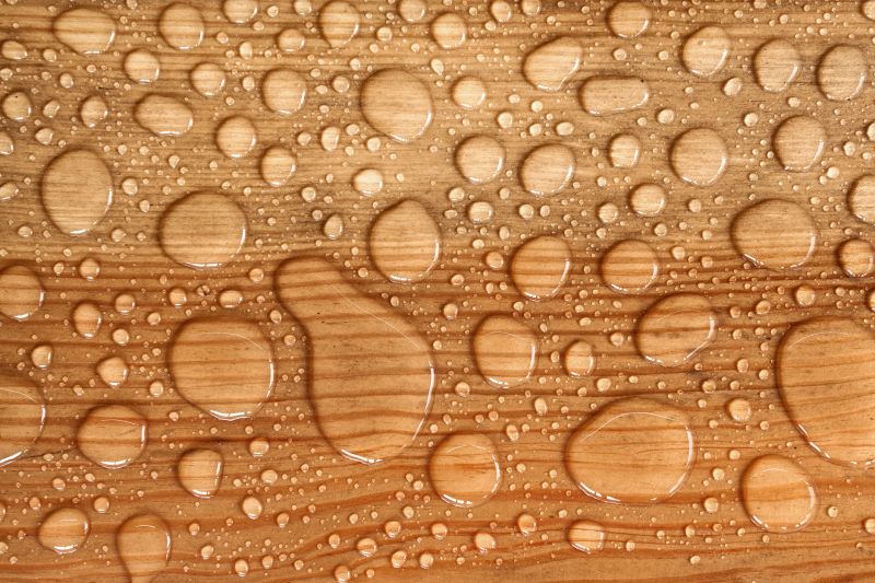 Wood Waterproofing in Gig Harbor, WA